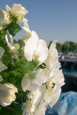 014_0I8A9185.jpg